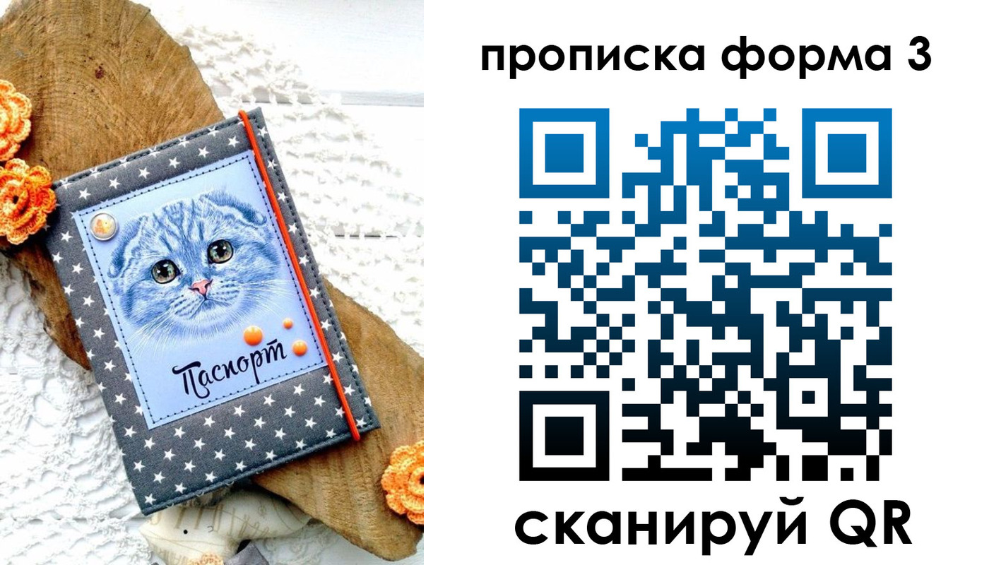 временная регистрация собственник в Спасске-Дальнем
